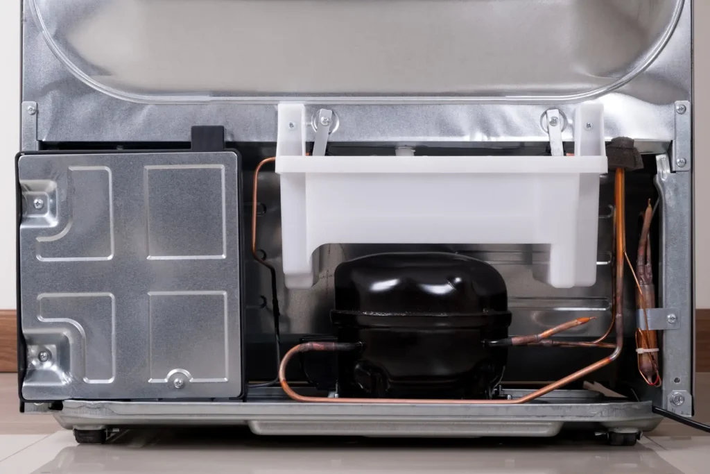 Refrigerator compressor and internal parts